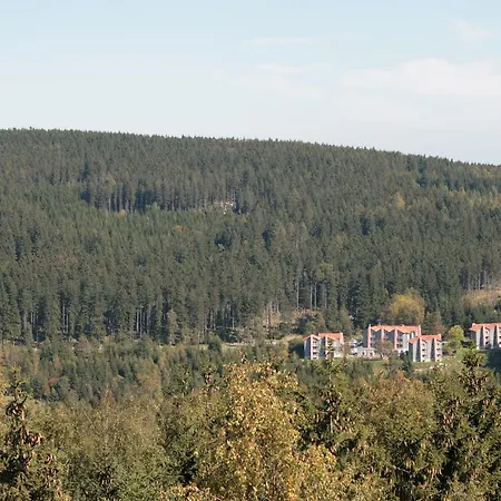 Brockenblick שירקה